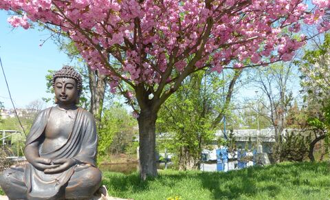 Kurz meditace Vipassana